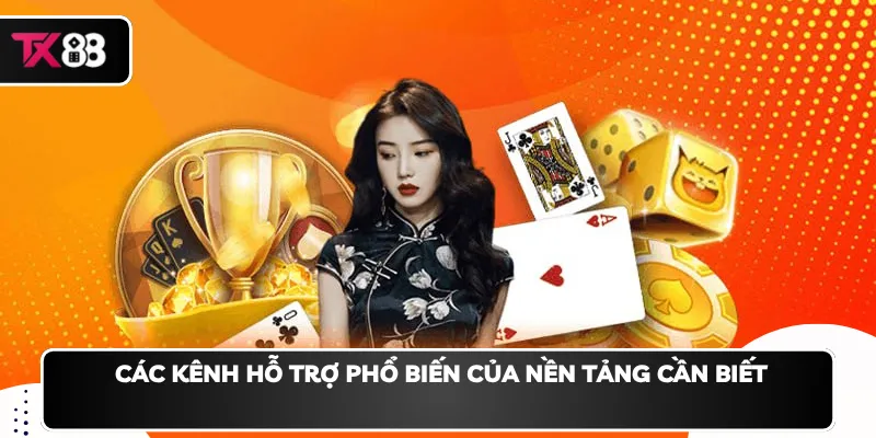 Các kênh hỗ trợ phổ biến của nền tảng cần biết